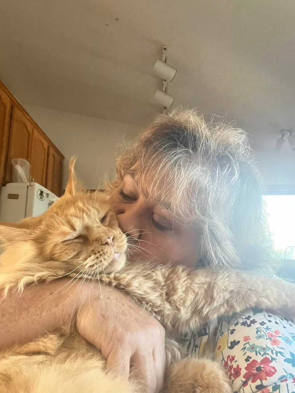 Kat Doring kissing a red Maine Coon cat on the head